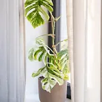Design Pearl 2br Cozy For 4 Апартаменти